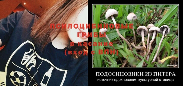 твердый Богородск