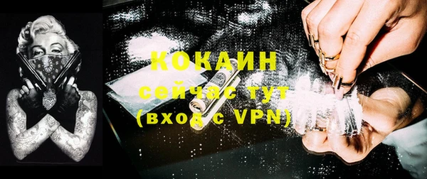 твердый Богородск
