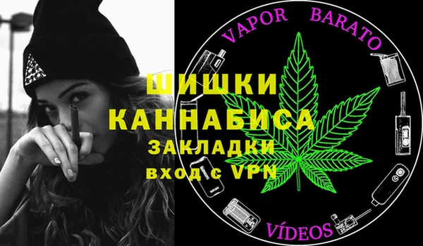 твердый Богородск
