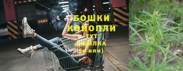 соль ск Богданович