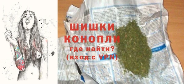 бошки Белокуриха